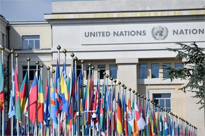 Flags outside the UN
